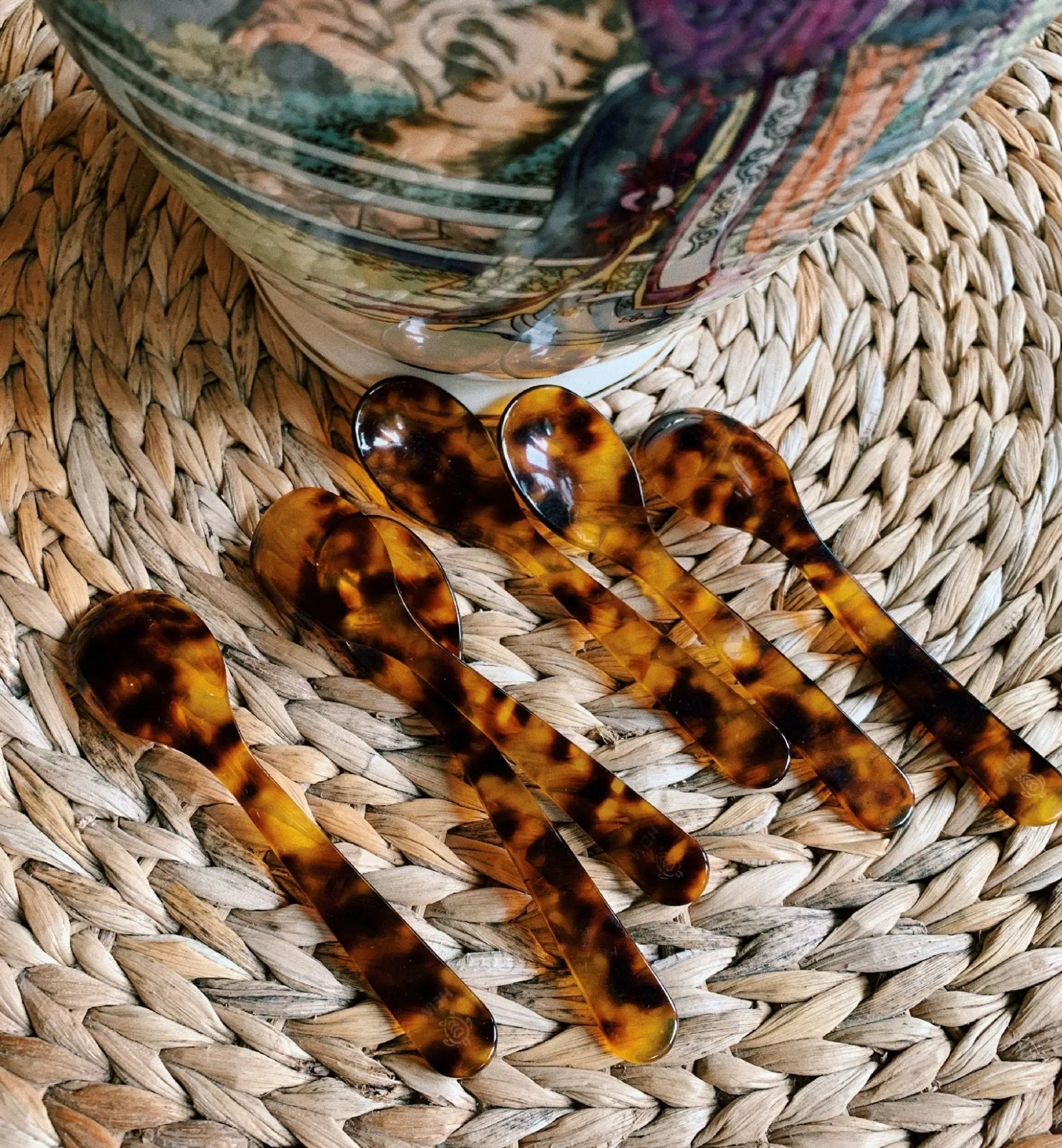 Acrylic Tortoise Teaspoon Set