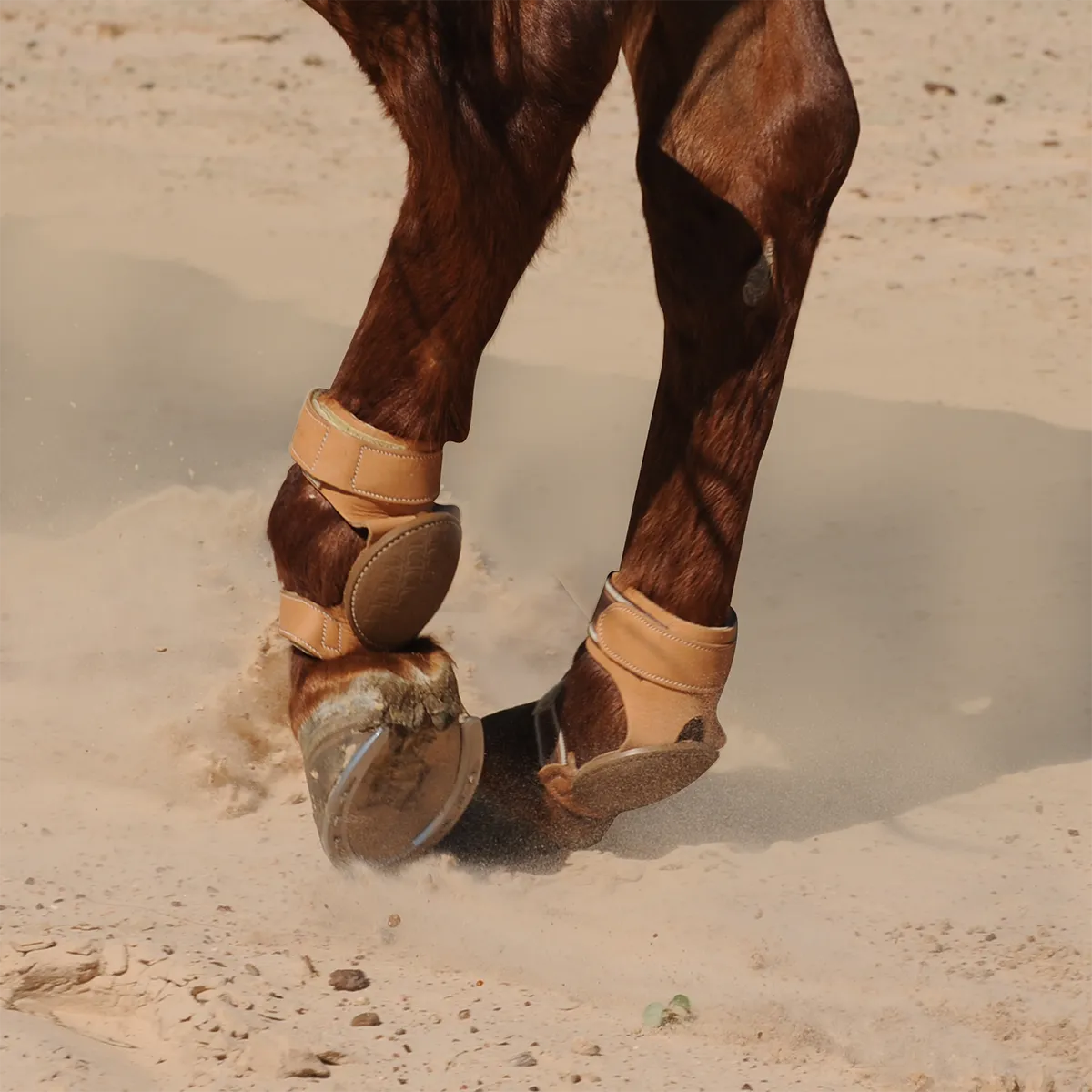 Equine Reiner Skid Boot