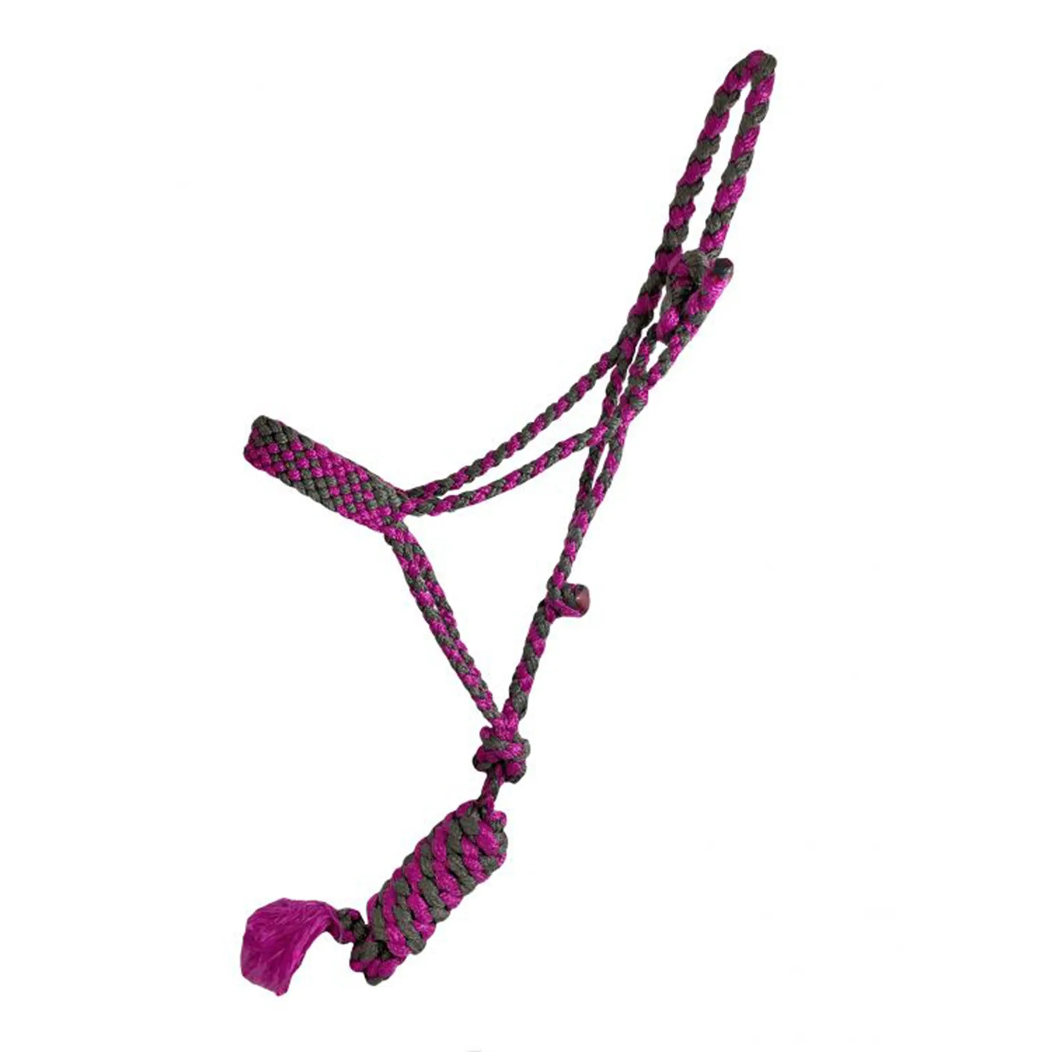 Pink Braided Mule Tape Halter by Showman: Top Search Engine Optimization Transformation Result